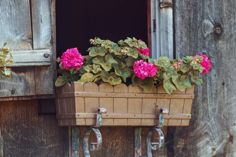 Tin Can Planters